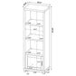 Sachin 3-piece 79-inch TV Entertainment Center Dark Pine