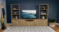 Tabby 4-door Engineered Wood 60-inch TV Stand Mango