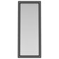 Windrose 28 x 67 Inch Tempered LED Standing Mirror Black