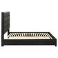 Medley Genuine Leather Queen Panel Platform Bed Black