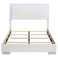 Felicity Wood Full LED Panel Bed White High Gloss